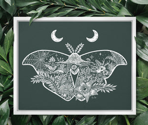 Night of the Moth Illustration - Framed Canvas Print